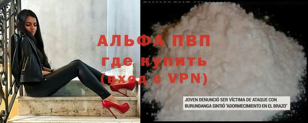 мет Алексин