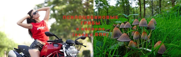 мет Алексин