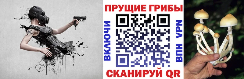 купить  сайты  Лесосибирск  Псилоцибиновые грибы мицелий 