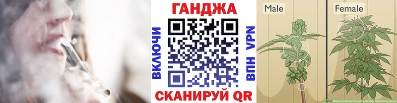 Конопля SATIVA & INDICA  купить наркотик  Лесосибирск 